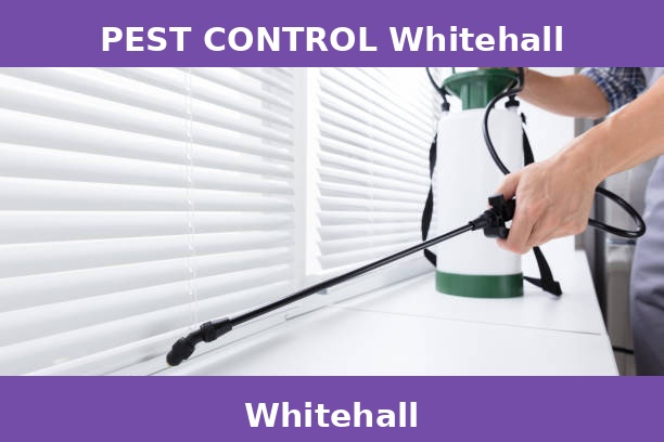 PEST CONTROL Whitehall